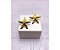 BRINCO AÇO INOX  ESTRELA DO MAR COM DETALHES - DOURADO - Imagem 1