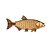 Peixe Decorativo Dourado  - Dfish - Imagem 2
