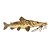 Peixe Decorativo Pintado - Dfish - Imagem 2