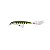 Isca Artificial Rapala XR X-RAP 8cm 7g Cor - Rapala - Imagem 5