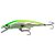 Isca Artificial Sprint Minnow 7cm 6g Cor - Yara - Imagem 11
