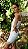 Saia Camila - Imagem 3