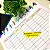 Caderno de Discos Basic Stars - Universitario (11 furos) - Disco G - Imagem 6