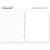 Caderno de Discos Basic Rosa Listado - A5 (8 furos) - Disco G - Imagem 8