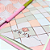 Kit Planner Semanal e Caderneta Pontilhada c/ Caneta Esferográfica Rosa Rose - Animativa - Imagem 2