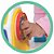 Brinquedo educativo gira baby c/blocos - merco toys (unidade) - Imagem 2
