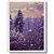 Caderno espiral 1/4 flexivel new 48fls. - pauta branca (pct.c/20) - Imagem 1