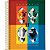 Caderno 01x1 capa dura harry potter 96fls. - jandaia (pct.c/04) - Imagem 3