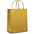 Sacola para presente lisa ouro fosco m 26x19x9cm - cromus (pct.c/10) - Imagem 1