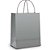 Sacola para presente lisa prata m 26x19x9cm - cromus (pct.c/10) - Imagem 1