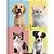 Caderno brochura 1/4 capa dura my pets 80f - animativa (pct.c/05) - Imagem 5