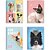 Caderno brochura 1/4 capa dura my pets 80fls. - animativa (pct.c/05) - Imagem 1