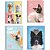 Caderno brochurao capa dura my pets 48fls. - animativa (pct.c/10) - Imagem 1