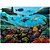 Quebra-cabeca cartonado criaturas marinhas 1000pcs - toyster (unidade) - Imagem 3