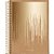 Caderno 01x1 capa dura kraft gold 80fls. - jandaia (pct.c/04) - Imagem 2