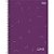 Caderno 10x1 capa dura lunix 160fls. - tilibra (pct.c/04) - Imagem 2