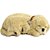 Perfect petzzz filhote cachorro labrador retriever - imex (unidade) - Imagem 1