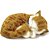 Perfect petzzz filhote gato orange tabby - imex (unidade) - Imagem 1