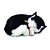 Perfect petzzz filhote gato black e white shorthair - imex (unidade) - Imagem 1