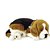 Perfect petzzz filhote cachorro beagle - imex (unidade) - Imagem 1