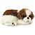 Perfect petzzz filhote cachorro shih tzu - imex (unidade) - Imagem 1