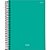 Caderno 01x1 capa dura stiff slim 80fls. - jandaia (pct.c/04) - Imagem 2