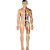 Jogo diverso anatomia - grow (unidade) - Imagem 3
