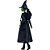 Barbie collector wicked boneca elphaba - mattel (unidade) - Imagem 5