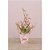 Cachepot paper decorado pote 15 helena 16x17x11cm - xingo embalagens (pct.c/10) - Imagem 2