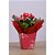 Cachepot paper decorado pote 15 valencia 16x17x11cm - xingo embalagens (pct.c/10) - Imagem 2