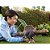 Boneco e personagem jw rebirth dinossauro veloz - mattel (unidade) - Imagem 3