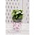 Cachepot paper decorado pote 11 ayla 11x11x9cm - xingo embalagens (pct.c/10) - Imagem 2