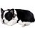 Perfect petzzz filhote cachorro buldog frances - imex (unidade) - Imagem 1