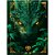 Caderno brochurao capa dura drakos 80fls - foroni (pct.c/05) - Imagem 1