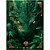 Caderno brochura 1/4 capa dura drakos 80fls - foroni (pct.c/05) - Imagem 3