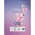 Caderno 01x1 capa dura dorama dreams 80fls - cadersil (pct.c/04) - Imagem 2