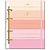 Caderno argolado daydream c/elast+ 6divis.80f(s - cadersil (unidade) - Imagem 2