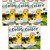 Livro infantil colorir amiguinhos p/color.pintinho 10 - todolivro (pct.c/05) - Imagem 4