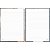 Caderno 10x1 capa dura dinoverse 160fls. - foroni (pct.c/04) - Imagem 2