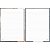 Caderno 10x1 capa dura dinoverse 160fls. - foroni (pct.c/04) - Imagem 2