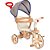 Veiculo para bebe ciclito classic  2 em 1 30kg - calesita (unidade) - Imagem 2