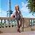 Barbie collector signature fashion week - mattel (unidade) - Imagem 3