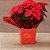 Cachepot paper decorado 16x17x11cm constelacao - xingo embalagens (pct.c/10) - Imagem 2