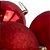Artigo para decoracao natal bola 10cm fosca/lisa/glitt. vm - kit (pct.c/03) - Imagem 5