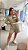 CONJUNTO - Imagem 4