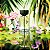 Perfume Fidji De Guy Laroche Eau De Toilette Feminino 100ml - Imagem 1