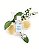Perfume Ptisenbon Tartine et Chocolat Infantil Eau de Toilette 100ml - Imagem 1