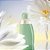 Perfume Cacharel Eden Eau de Parfum Feminino - Imagem 3