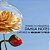 Perfume Flower By Kenzo La Recolte Parisienne Eau de parfum Feminino - 75ml - Imagem 4