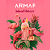 Armaf Perfume Island BREEZE Eau de Parfum 100ml Original Selado Feminino - Imagem 3